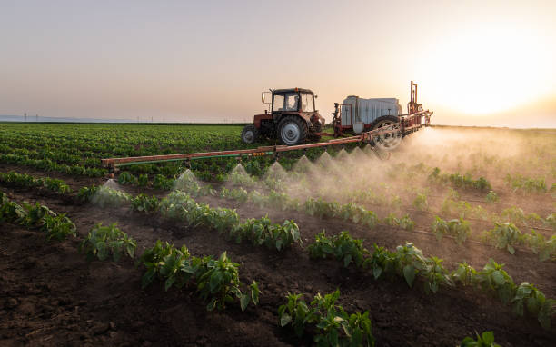 Best Cockroach Control Services  in Rson, CA