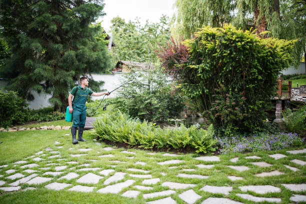 Best Residential Pest Control  in Rson, CA