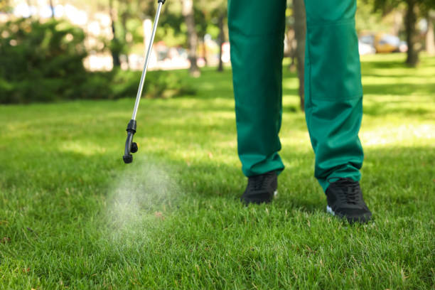 Best Pest Control Near Me in Carson, CA