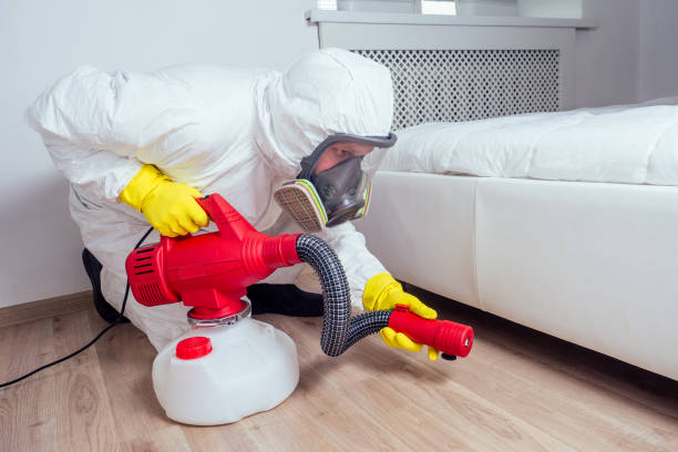 Best Insect Control  in Rson, CA