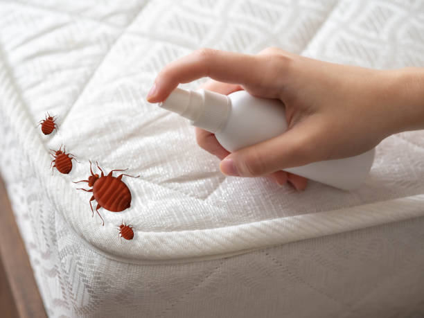 Best Commercial Pest Control Services  in Rson, CA