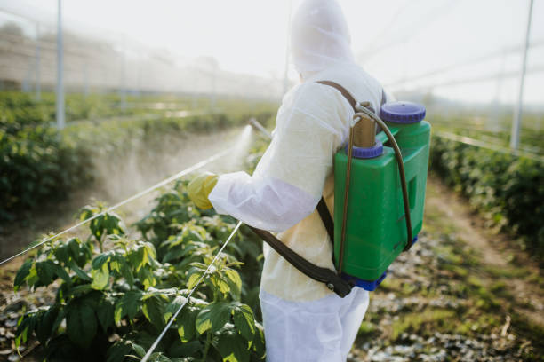 Best Affordable Pest Control Services  in Rson, CA